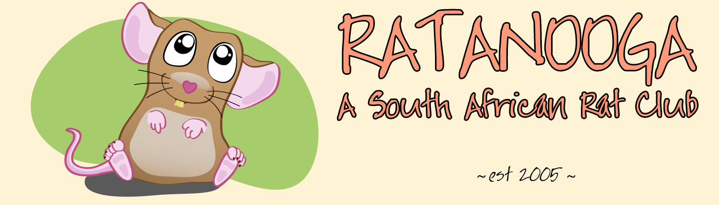 RATANOOGA – A South African Rat Club